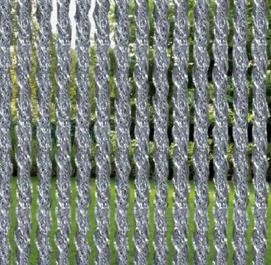 Vliegengordijn Orchidea 100x240cm (transparant) 2 Vliegengordijn Orchidea 100x240cm (transparant) - Afbeelding 2